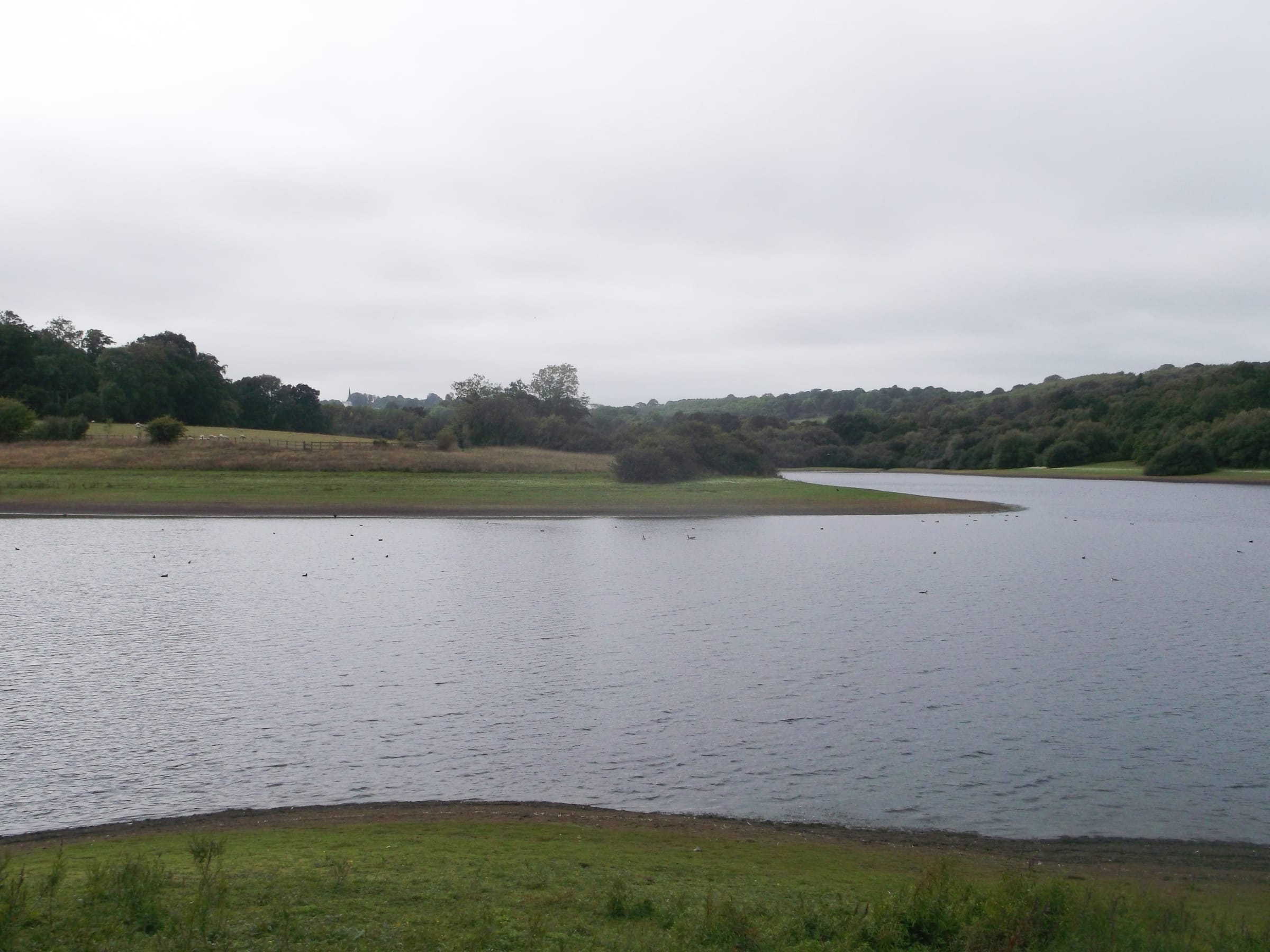 A westward view of Bewl Water reservoir showing the open body of water flanked by wooded shoreline.