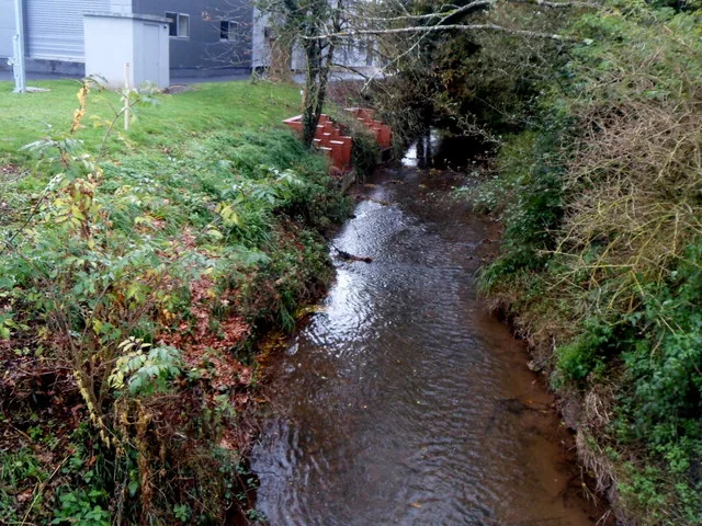 The Little Avon River flowing between trees near Charfield, viewed from Wotton Road