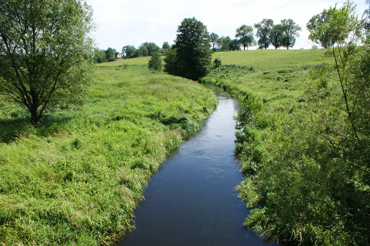 Photo of Drawa