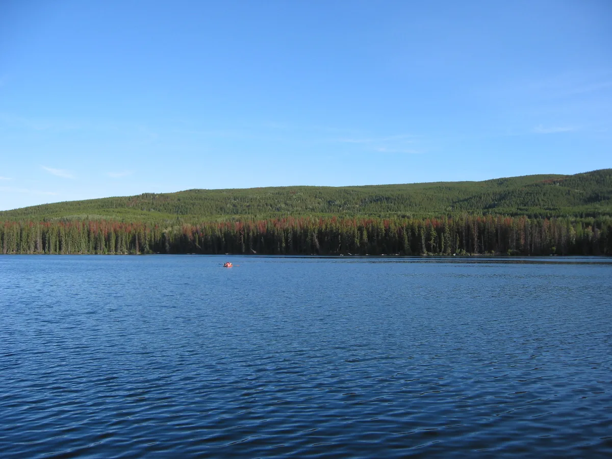 Lac le Jeune — Lake View, Lac Le Jeune, Canada
