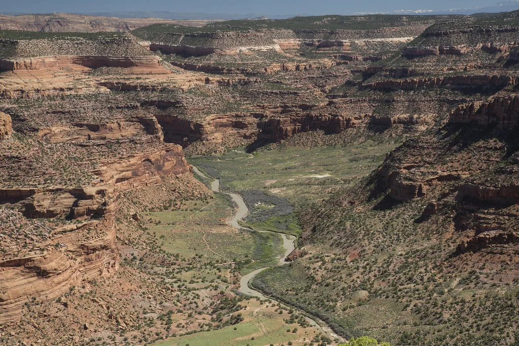Aerial view of the Dolores River winding through a red-rock canyon in southwestern Colorado.
