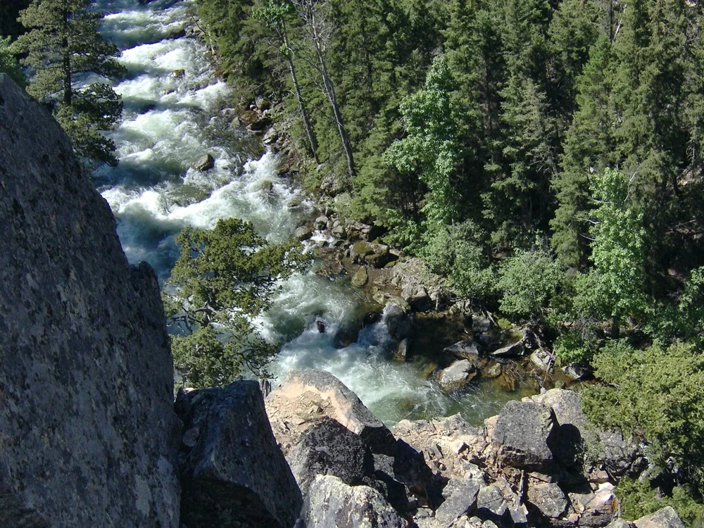 Fast whitewater cascading through a boulder-strewn canyon on the upper Boulder River in Sweet Grass County, Montana, flanked by conifer forest