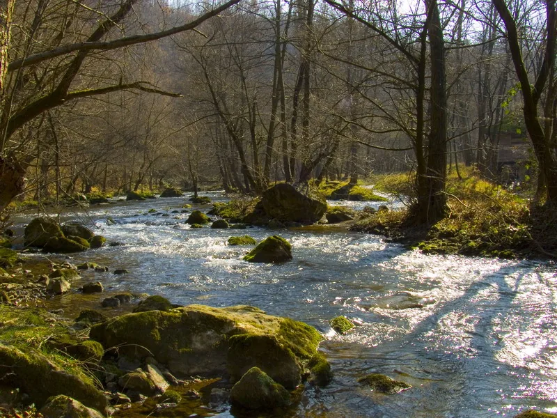 Sunlit stretch of the Gradac river running over mossy boulders through bare winter trees near Valjevo, Serbia