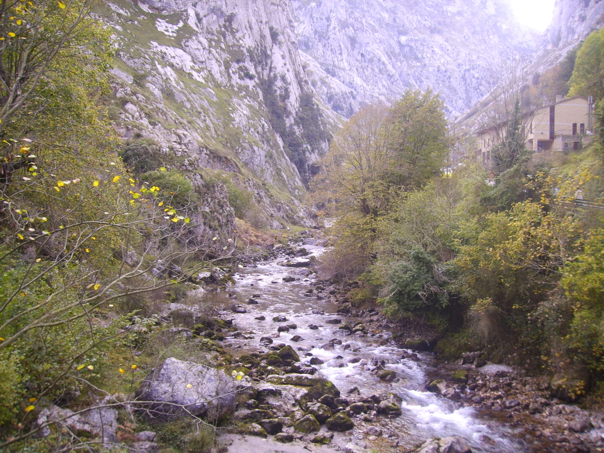 The Río Cares rushing over mossy boulders through autumnal woodland at the mouth of the gorge.