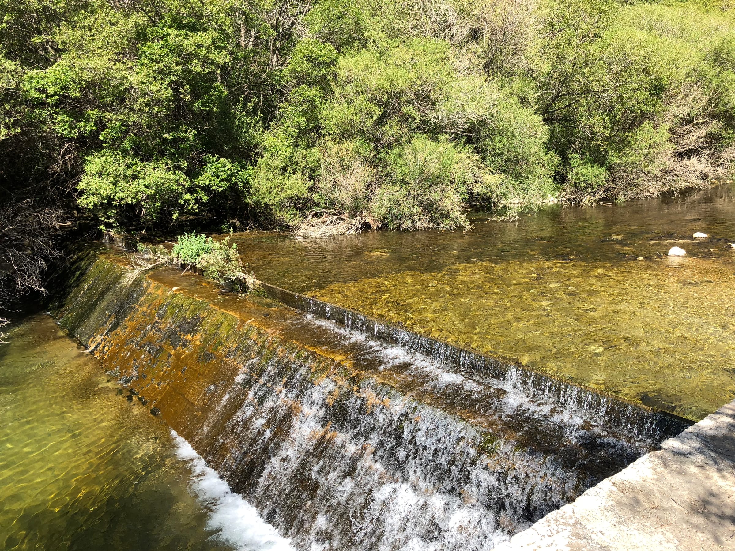 Clear water of the Río Castril flowing through the Sierra de Castril gorge, Granada.