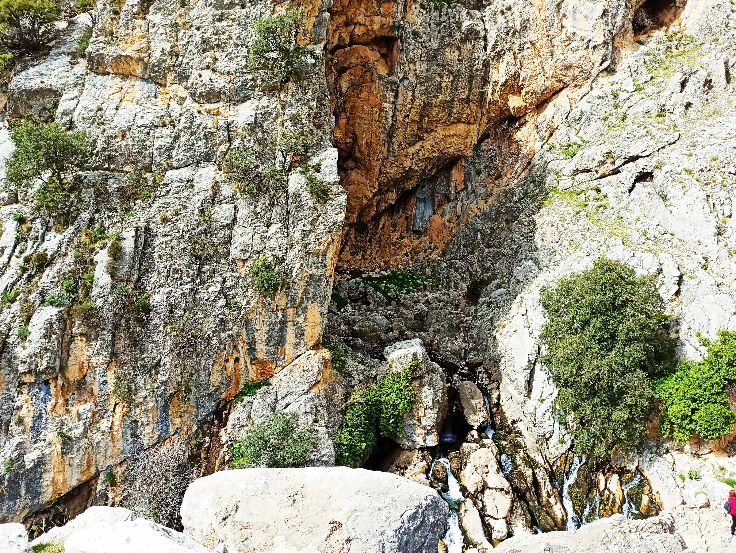 The spring source of the Río Castril emerging from a limestone rock face in the Sierra de Castril.