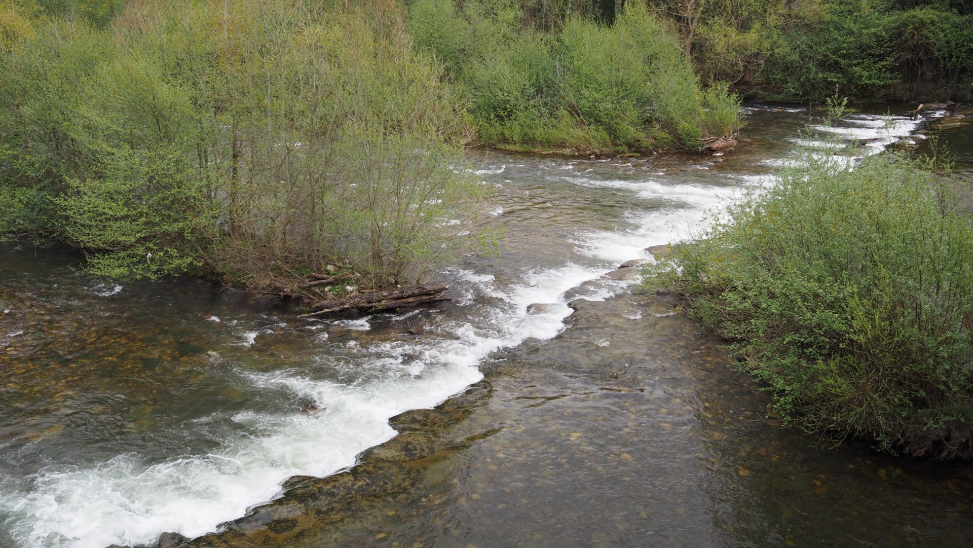Rio Caudal, wide and fairly shallow with trout and lots of Spanish chub