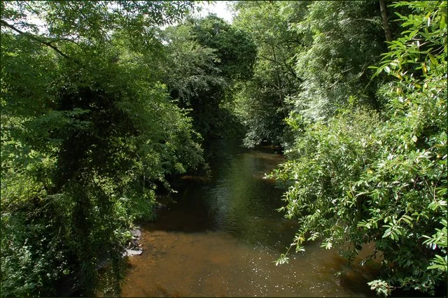 Shallow river flowing over stones beneath trees at Clare Glen on the River Cusher, County Armagh
