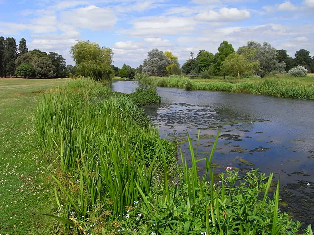 The River Loddon, a Thames tributary, flowing gently past Stratfield Saye, Hampshire.