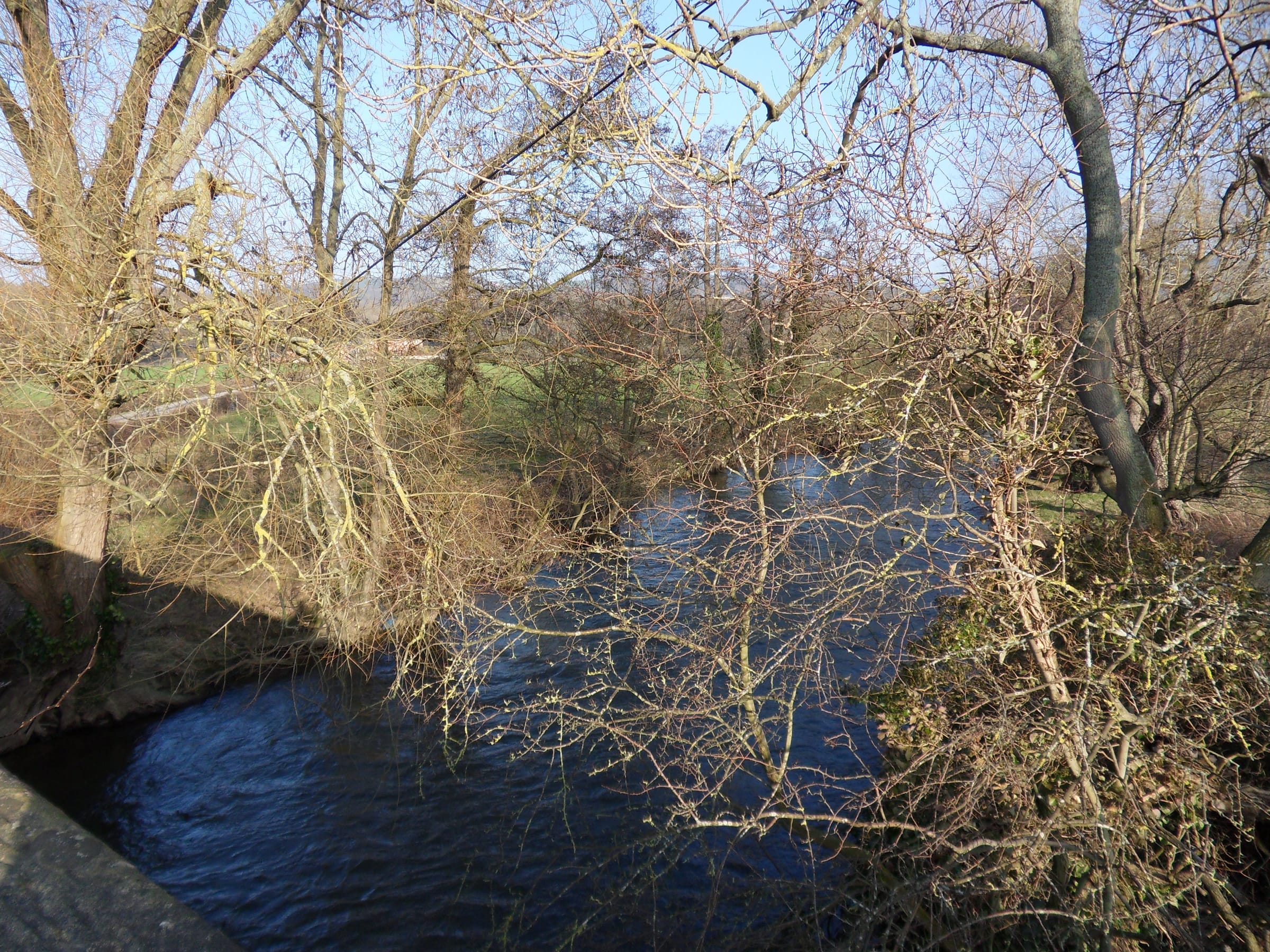 The Afon Clwyd at Trefnant, between St Asaph and Denbigh.