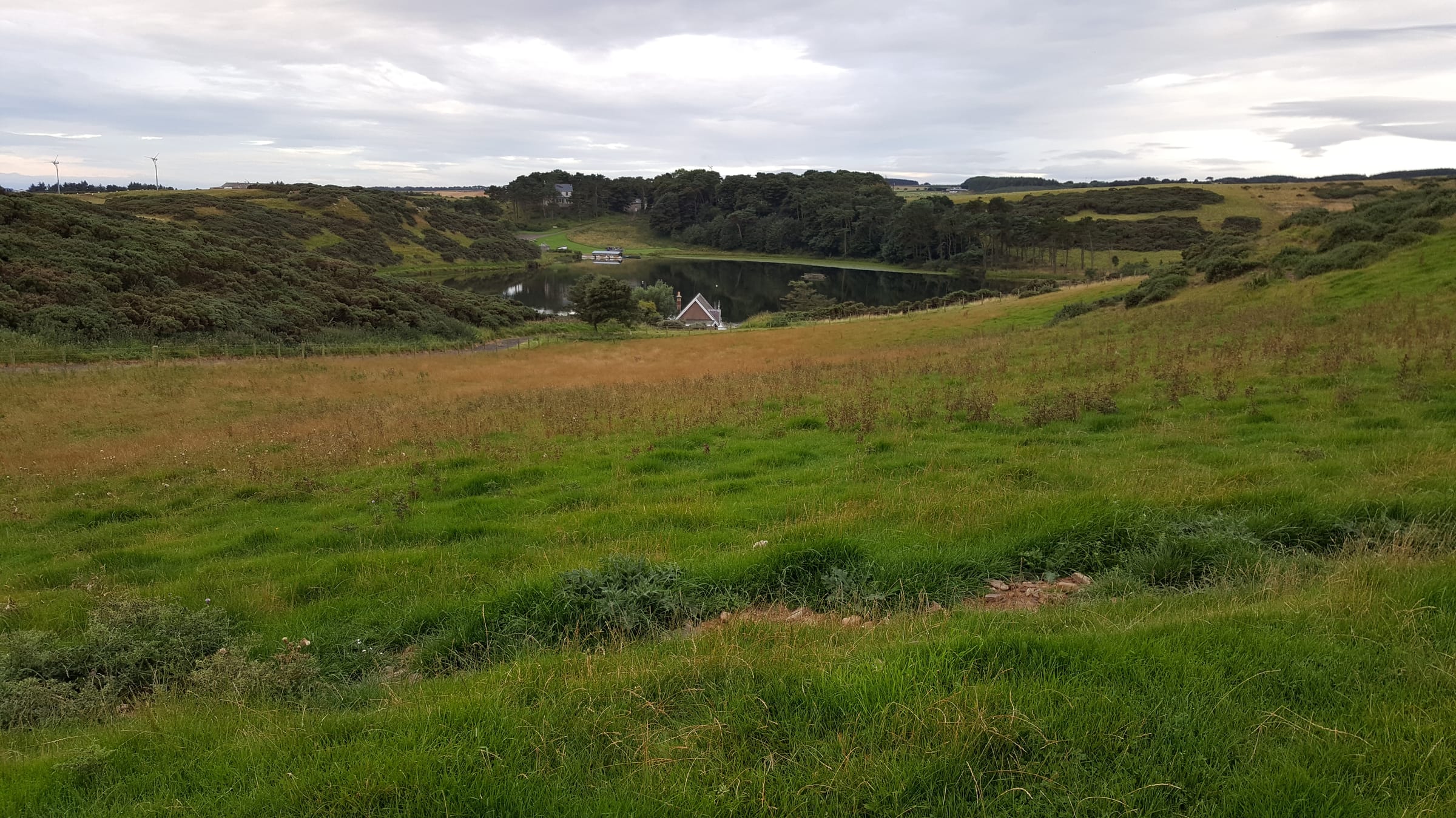 Coldingham Loch seen from an elevated position with surrounding upland grassland, Scottish Borders.