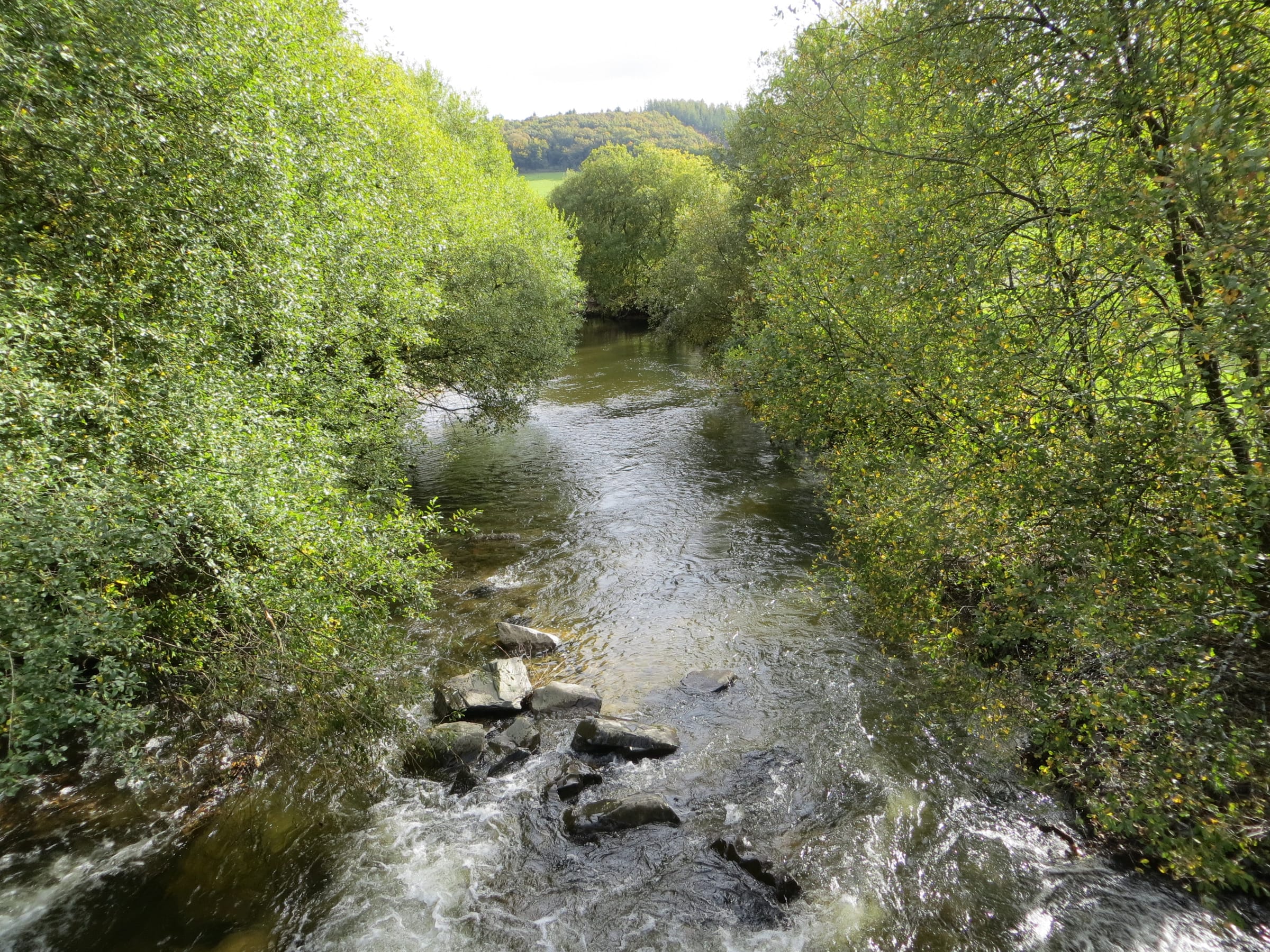 The Afon Cothi viewed from Pont Prenllwyd in October, autumnal wooded valley and fast-flowing water over boulders.