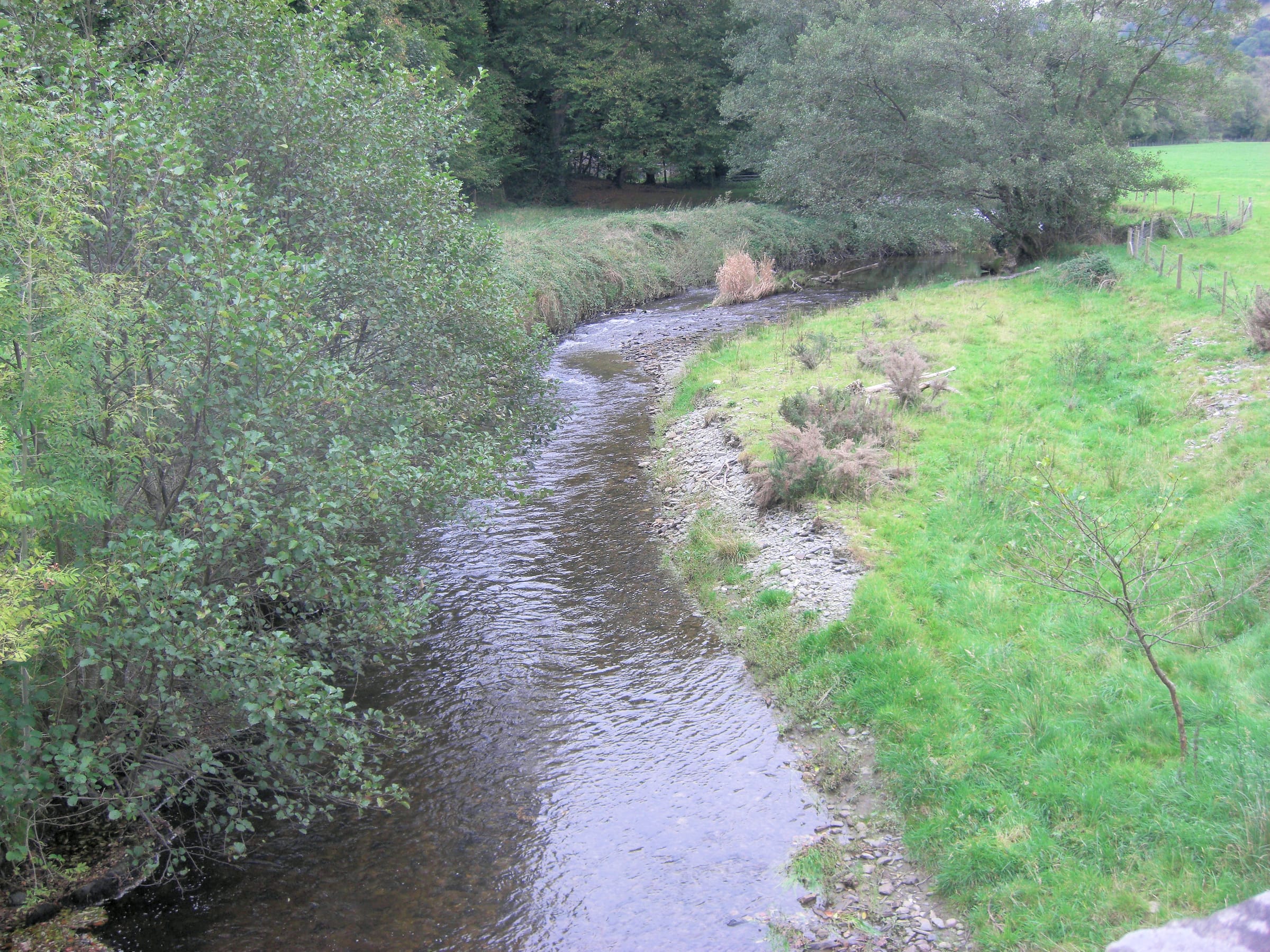 The River Cothi flowing through the village of Pumsaint in Carmarthenshire, tree-lined banks in autumn light.