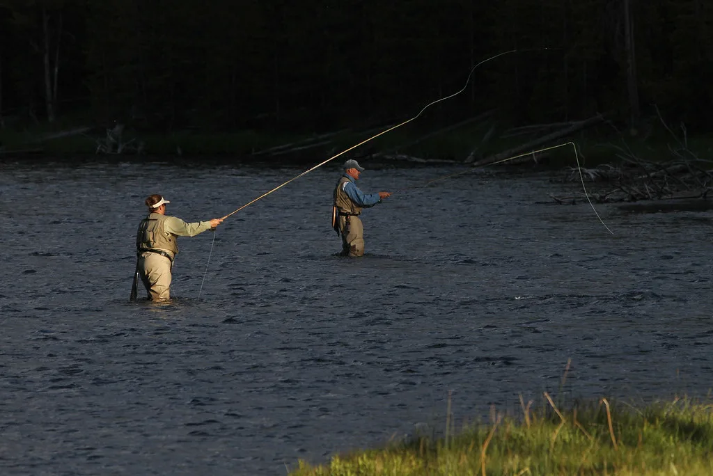Two anglers casting fly rods while wading the Firehole River at golden hour, Yellowstone National Park.