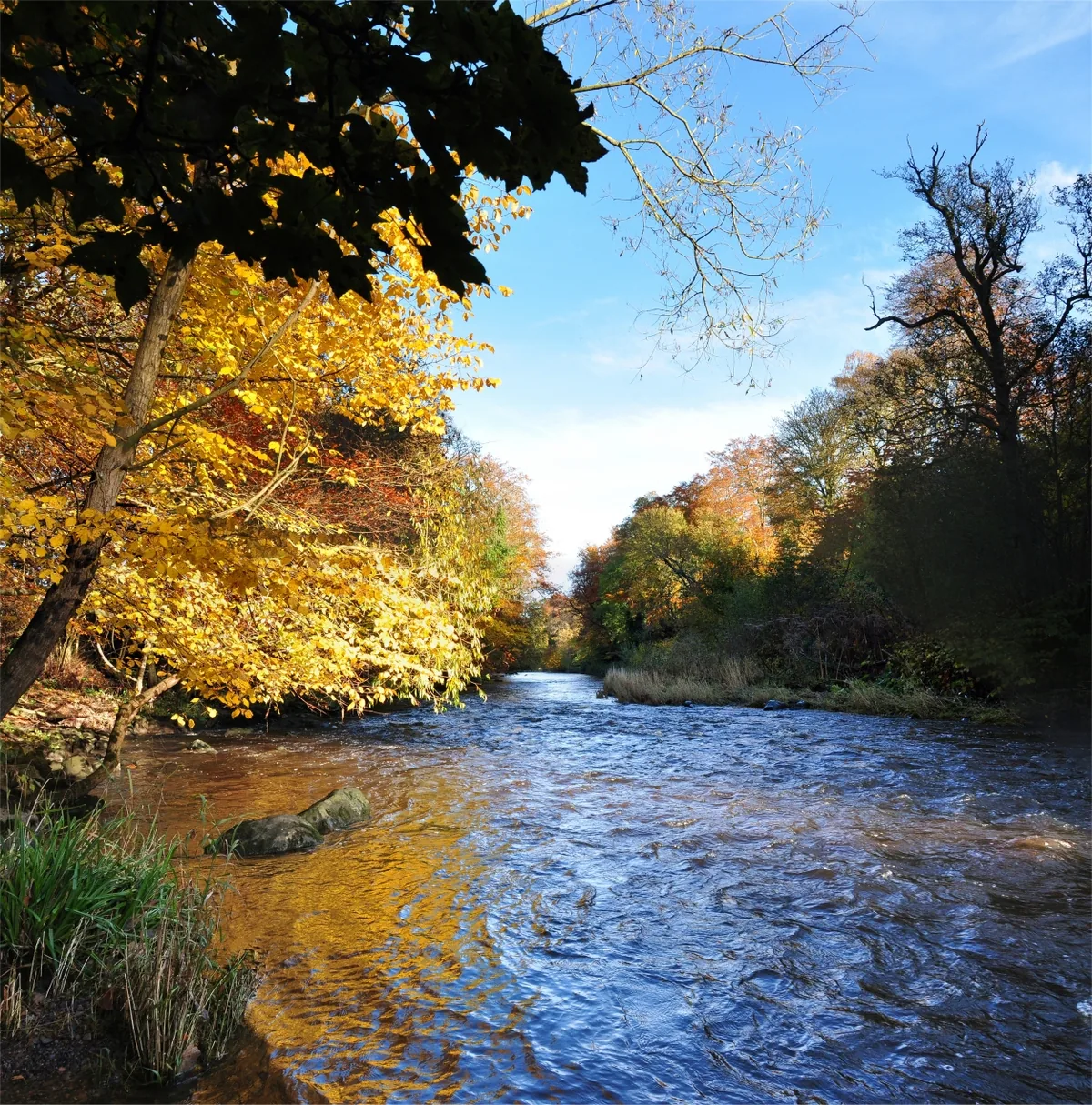 Photo of River Almond (Lothian)