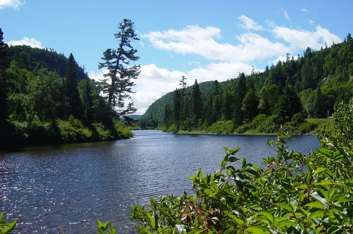 A forested river canyon with the Agawa River winding between tree-covered hills under a blue sky with clouds.