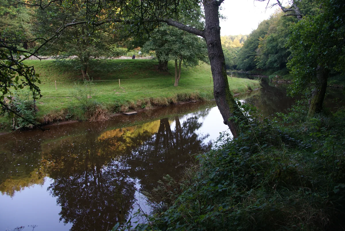 The River Esk flowing through a wooded valley below Glaisdale on the North Yorkshire Moors