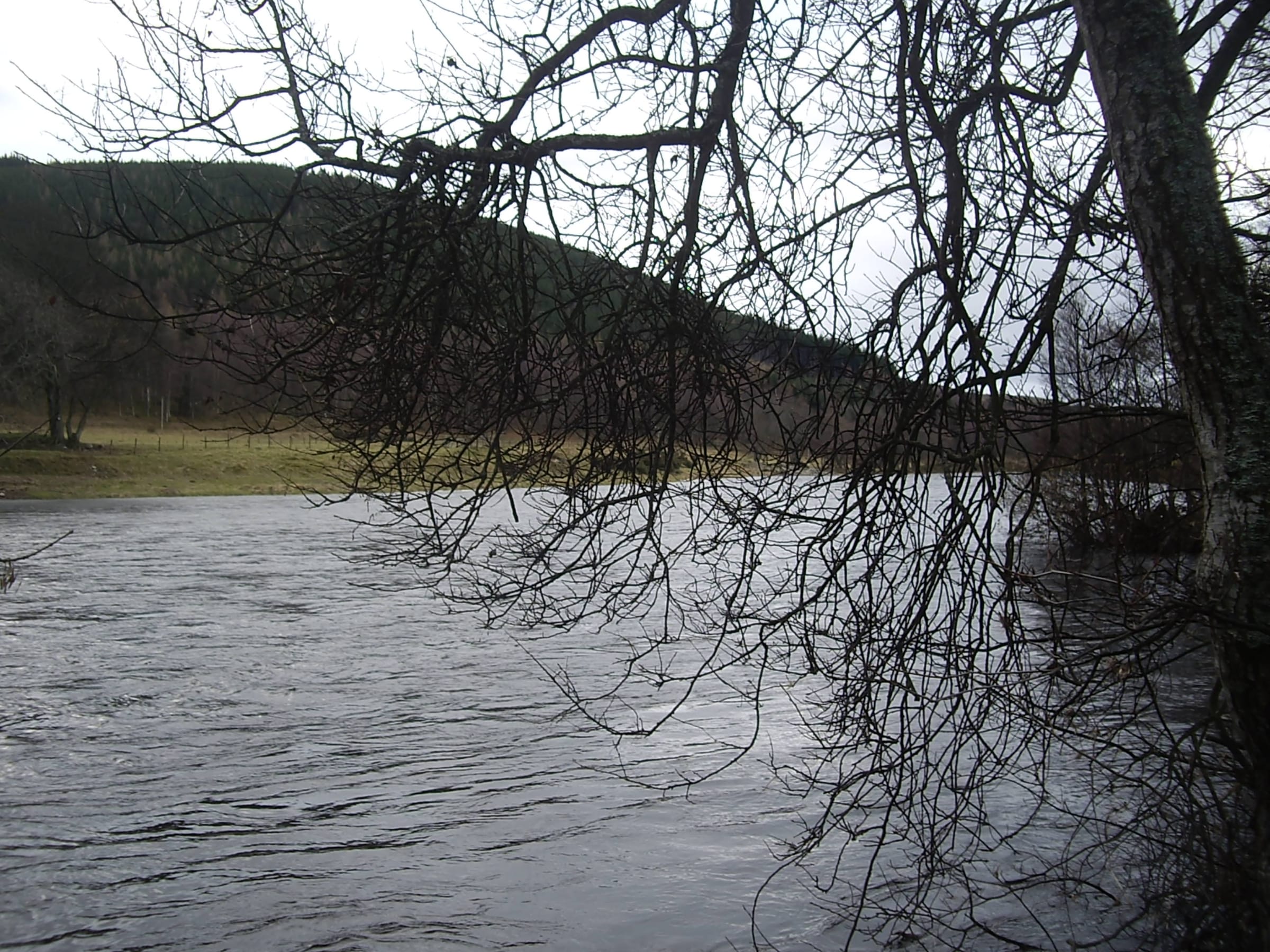 The River Dee at Ballater, Aberdeenshire, with clear water over a gravel bed and wooded banks.