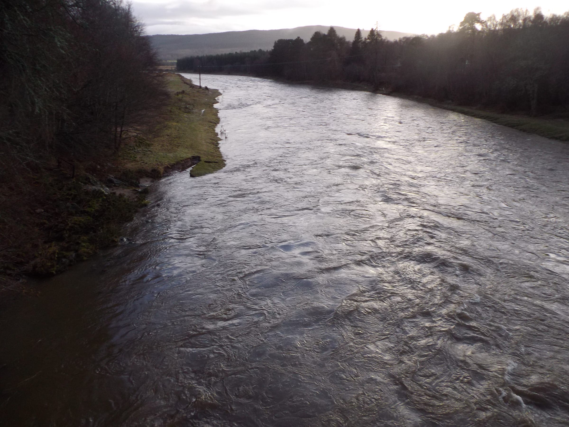 The River Dee flowing downstream from the Bridge of Potarch, Aberdeenshire, through a wooded reach.