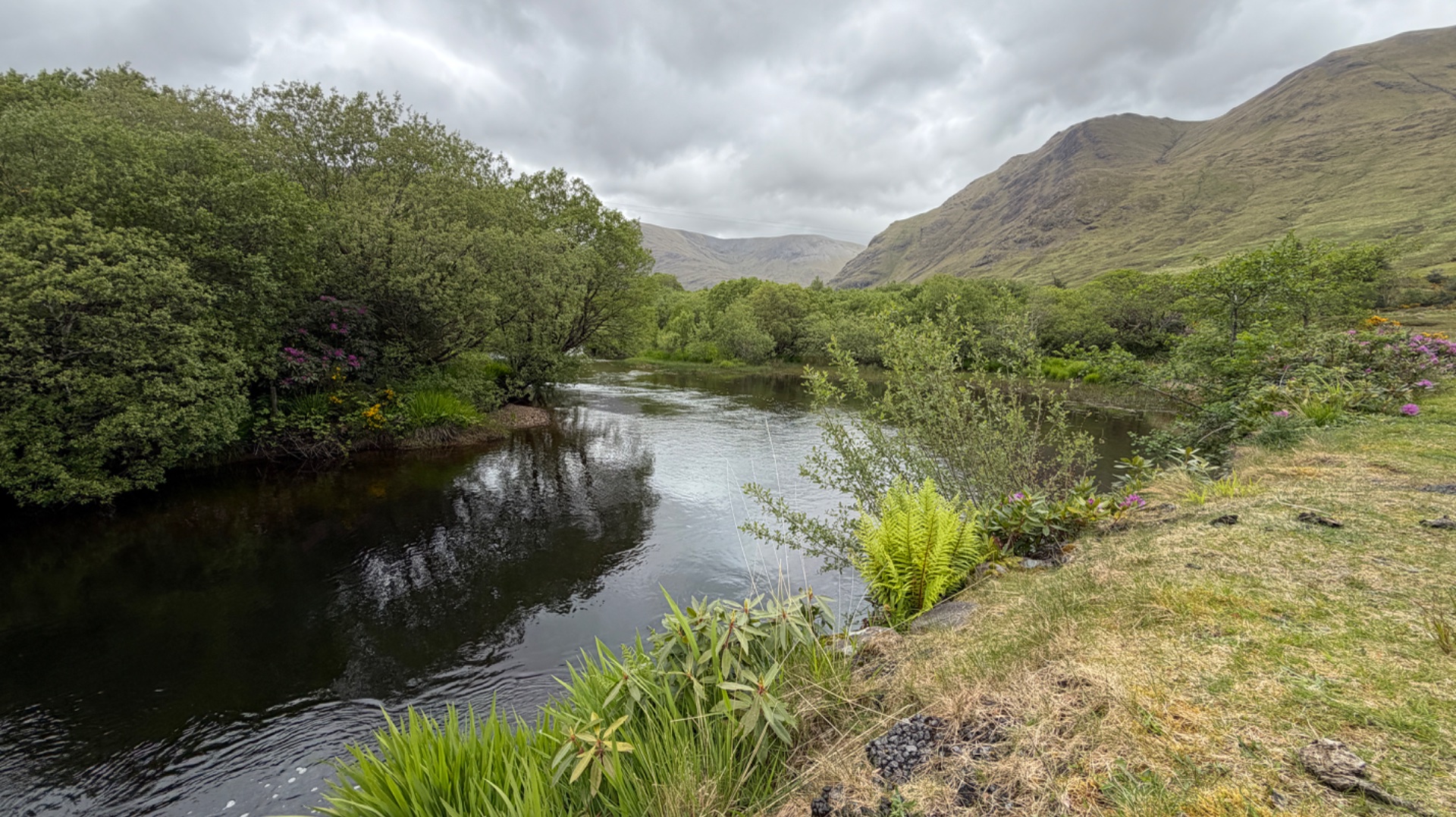 Delphi Lodge fishing venue photo