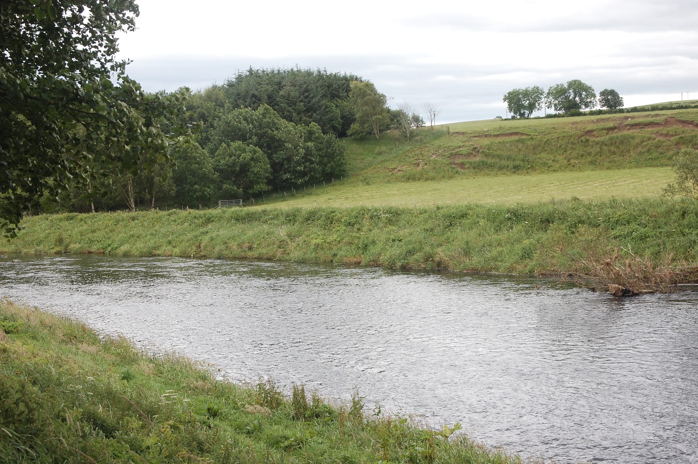 The River Deveron in the Marnoch parish, Aberdeenshire, a broad watercourse on a summer day.