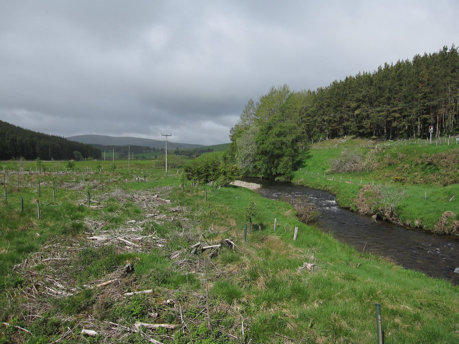 The River Don at Colnabaichin in Strathdon, the upper river running through a wooded valley.