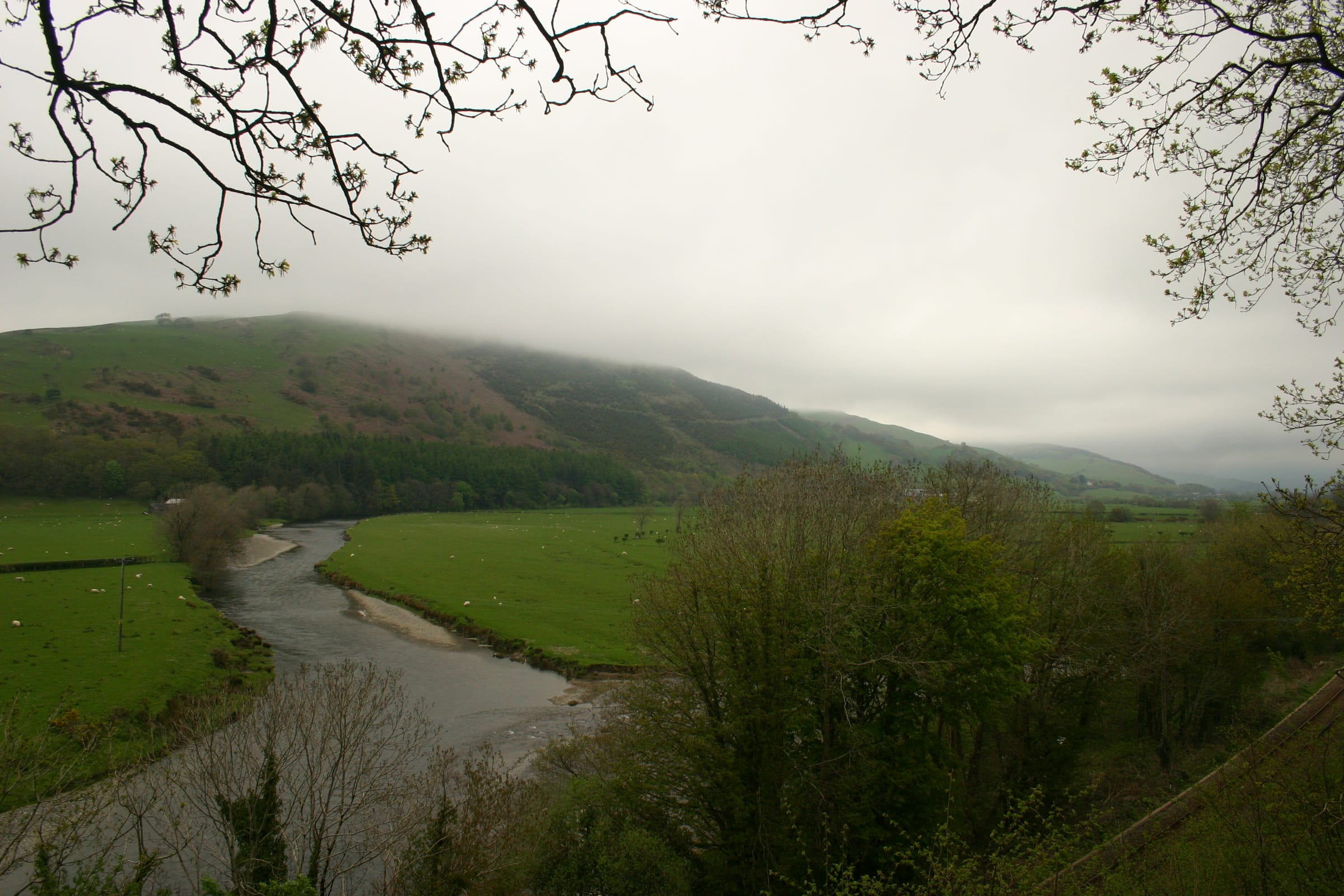 The River Dyfi flowing through the Machynlleth reach with the Cambrian railway line in the landscape.