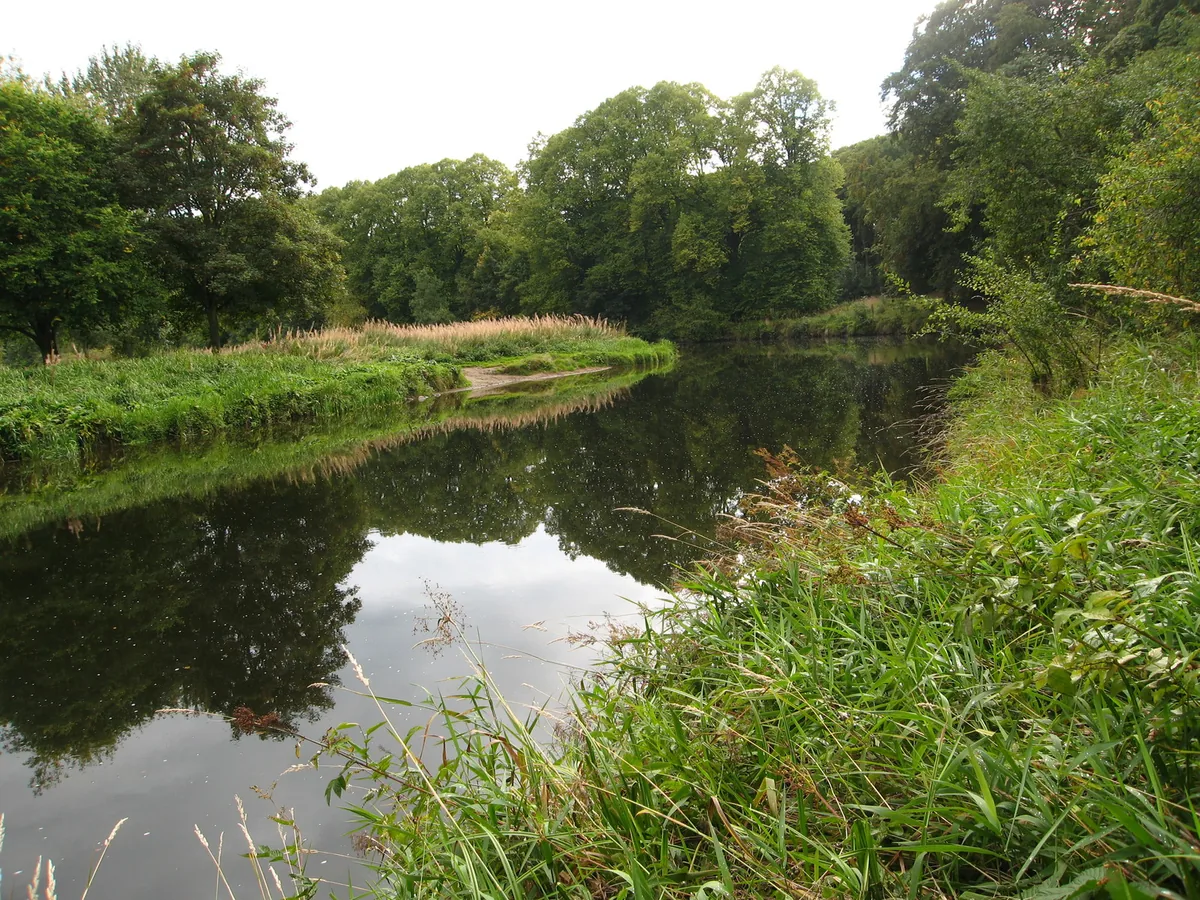 A tranquil, tree-lined bend of the River Don near Kemnay, Aberdeenshire
