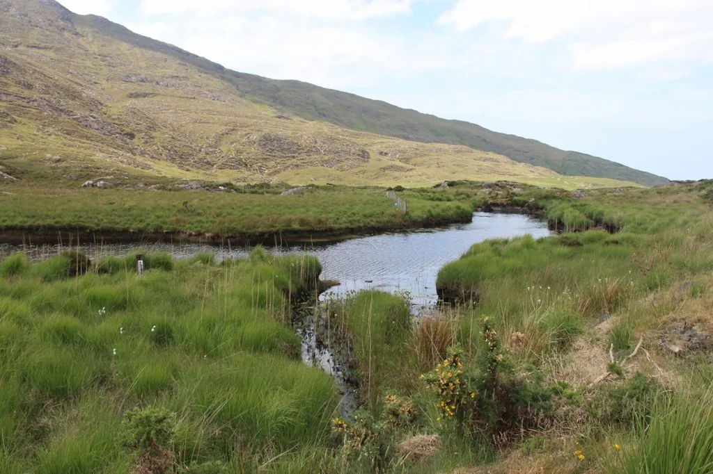 The Culfin River flowing through Connemara countryside, County Galway, Ireland.