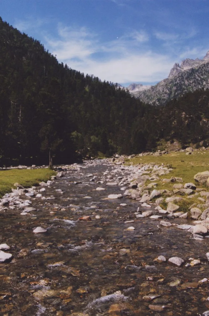 A rocky mountain stream, the Gave du Marcadau, running through a green valley with Pyrenean peaks in the background near Cauterets.