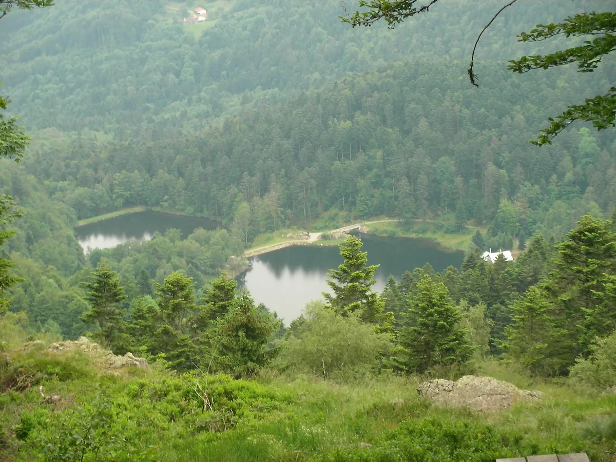 Aerial view of the two Neuweiher lakes surrounded by dense forest in the Vosges mountains, Haut-Rhin, France