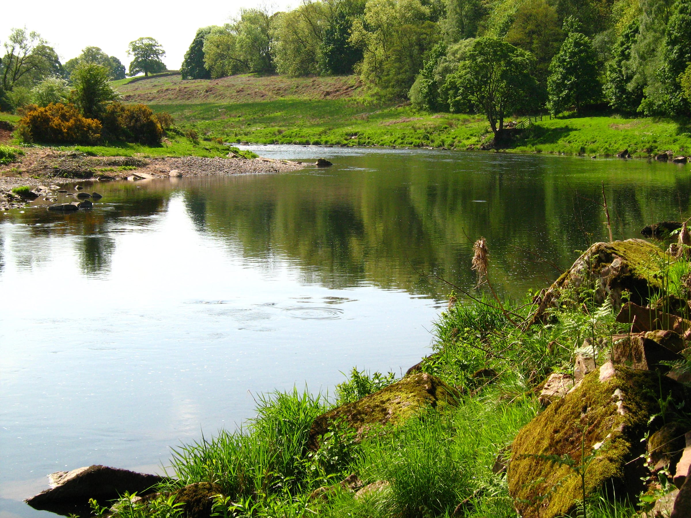 The River Eden in May near Kirkoswald, a wide channel flanked by spring-green vegetation.