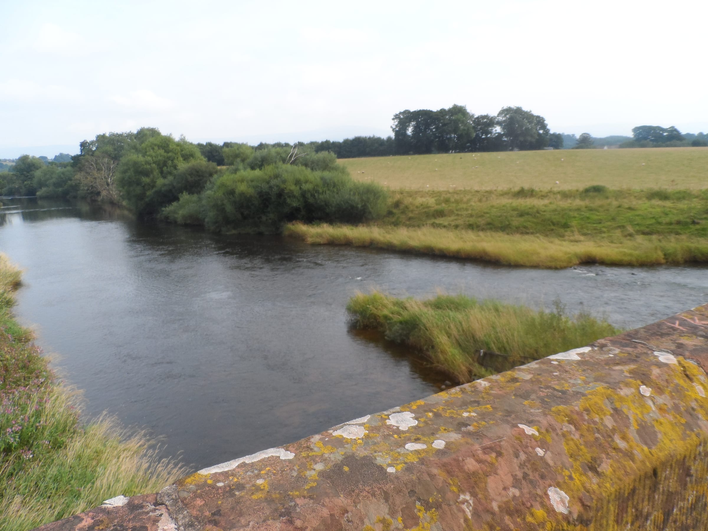 The River Eden viewed from Eden Bridge at Temple Sowerby in late summer, the clear channel prominent.