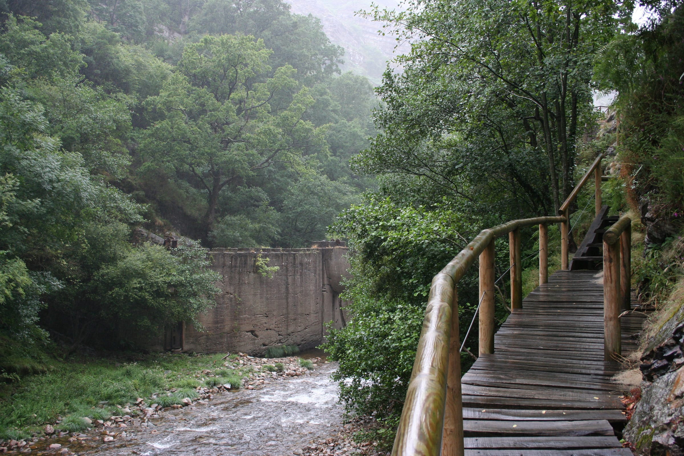 A wooden footbridge crossing the Río Esva amid dense riparian woodland in the Hoces gorge.