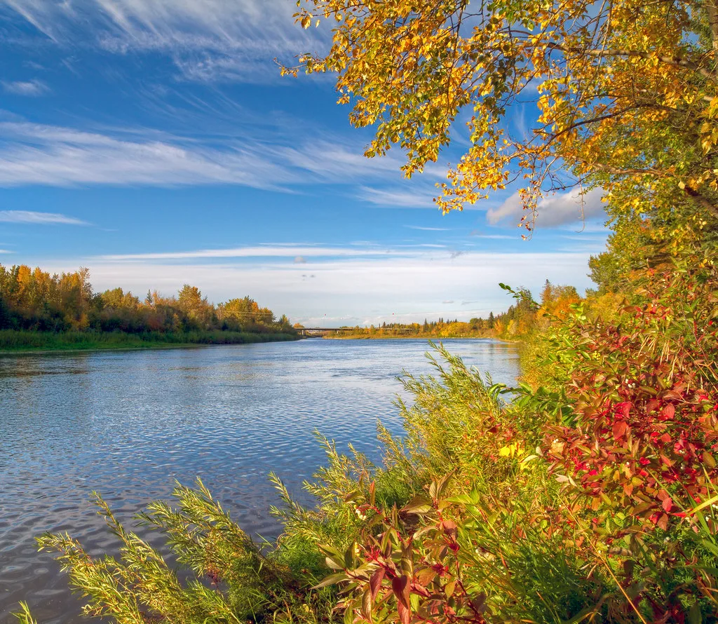 Red Deer River (upper, near Sundre) — Red Deer River [EXPLORED]