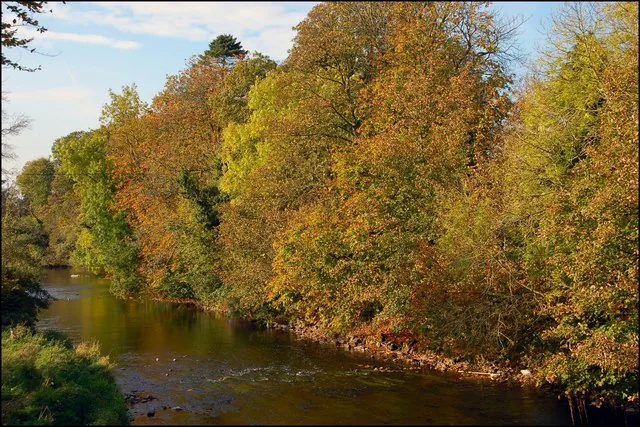 The Six Mile Water river running through autumn trees near Antrim, Northern Ireland.
