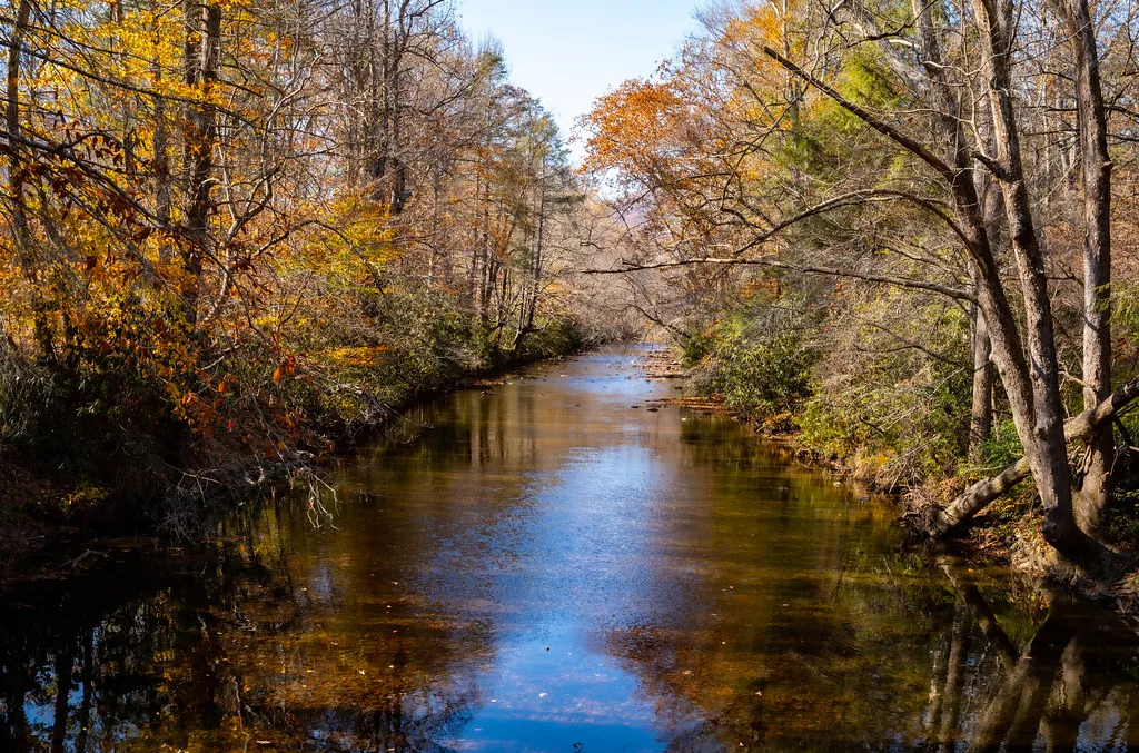 A calm, tree-lined stretch of the Davidson River reflecting autumn foliage in Pisgah National Forest, North Carolina.