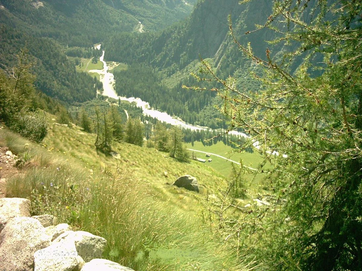 Photo of Sarca