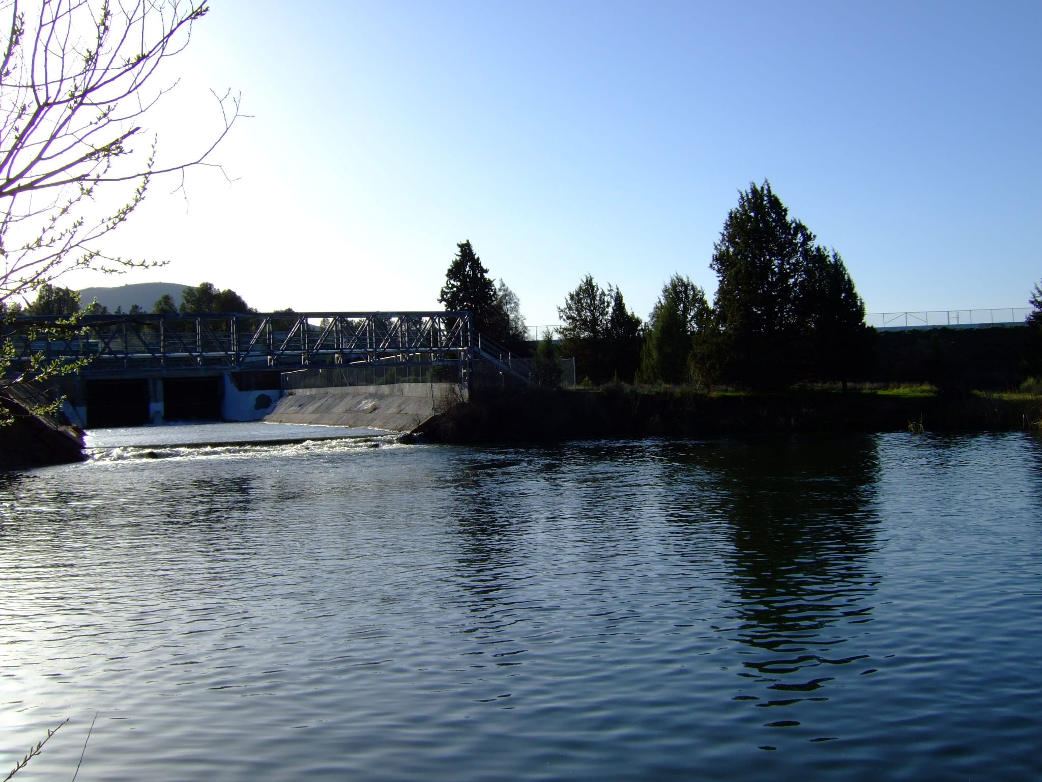 The Fall River near Fall River Mills, Shasta County, California, with water in a valley setting.