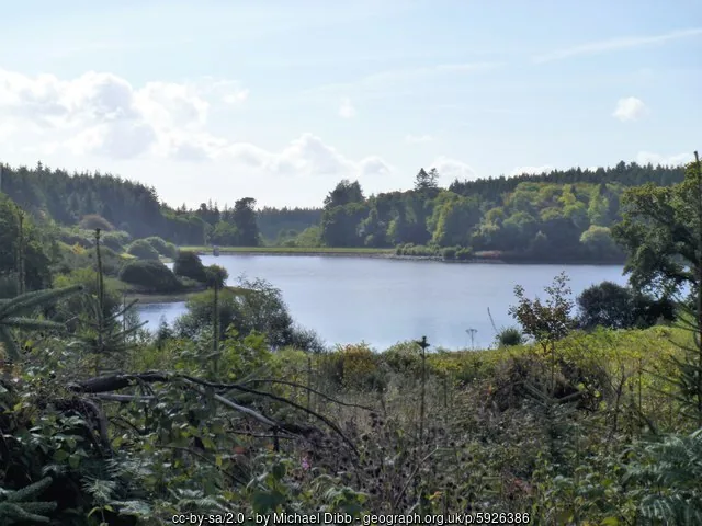 Wide view of Kennick Reservoir surrounded by forest on the edge of Dartmoor, Devon