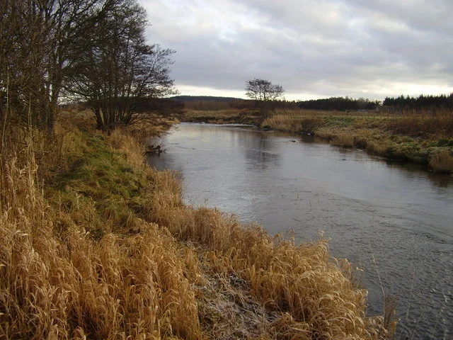 The River Deveron flowing through farmland reeds and pasture, Aberdeenshire, Scotland