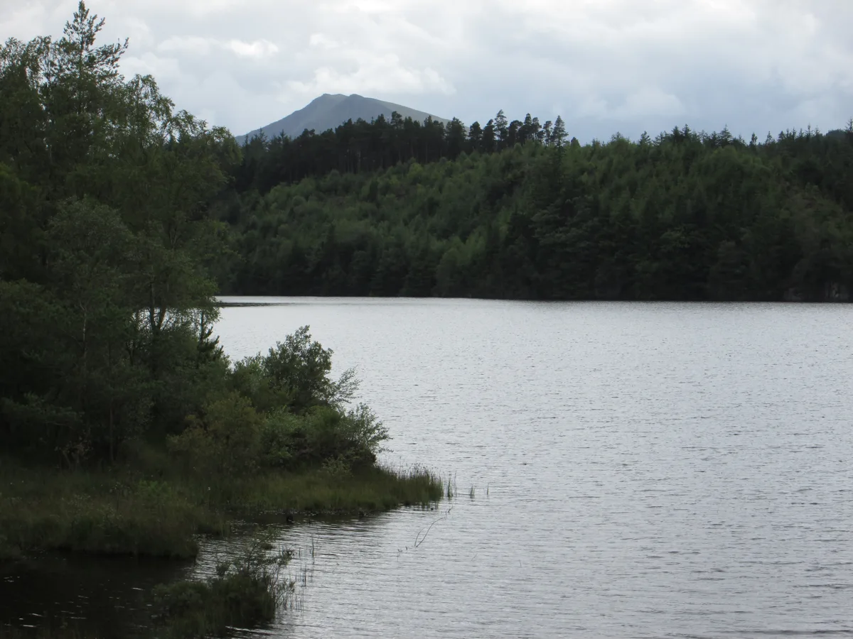 View across Llyn Bodgynydd lake toward forested hills with Moel Siabod mountain in the background under a cloudy sky.