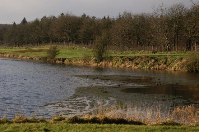 North Woodburn Reservoir in Woodburn Forest near Carrickfergus, Northern Ireland.