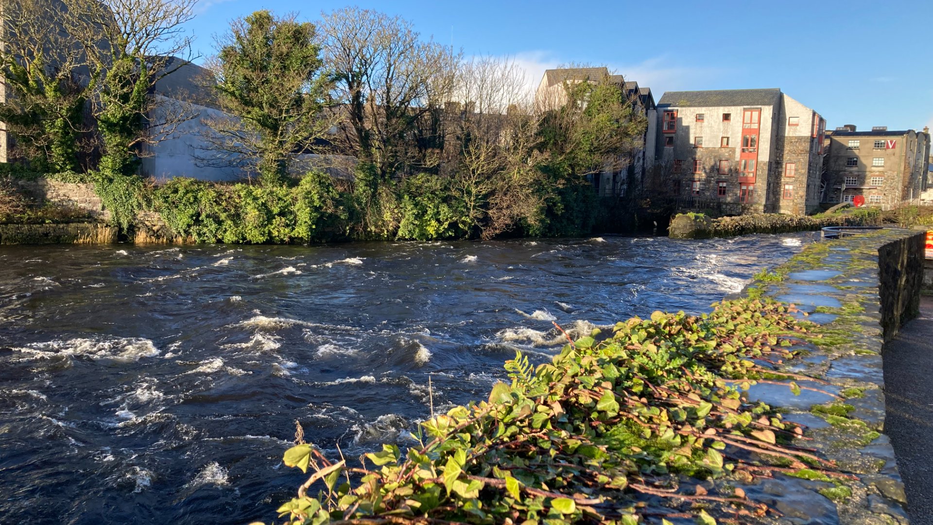 Corrib / Galway Weir fishing venue photo