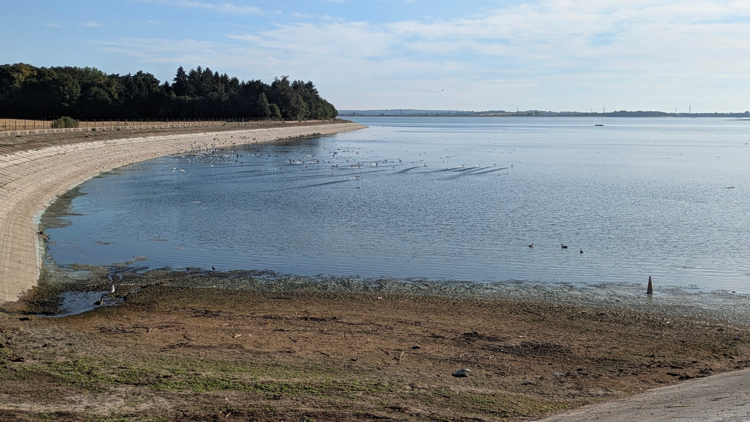Hanningfield Reservoir on a summer day showing the open water surface and surrounding landscape.
