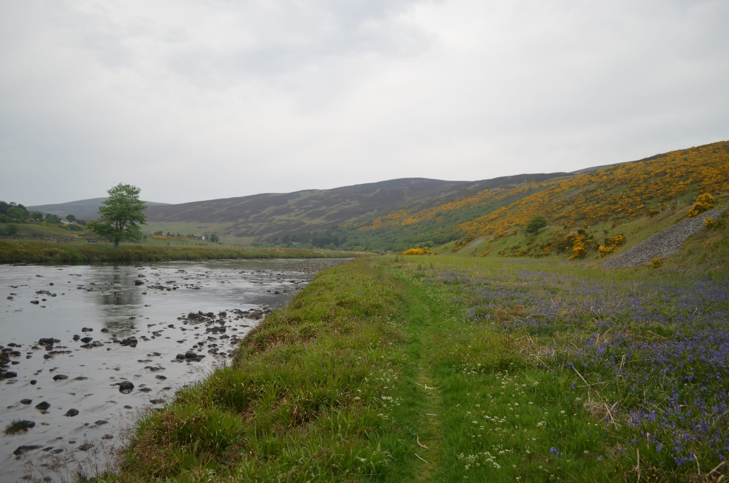 The River Helmsdale on its lower run approaching Helmsdale village, open moorland hills rising beyond.
