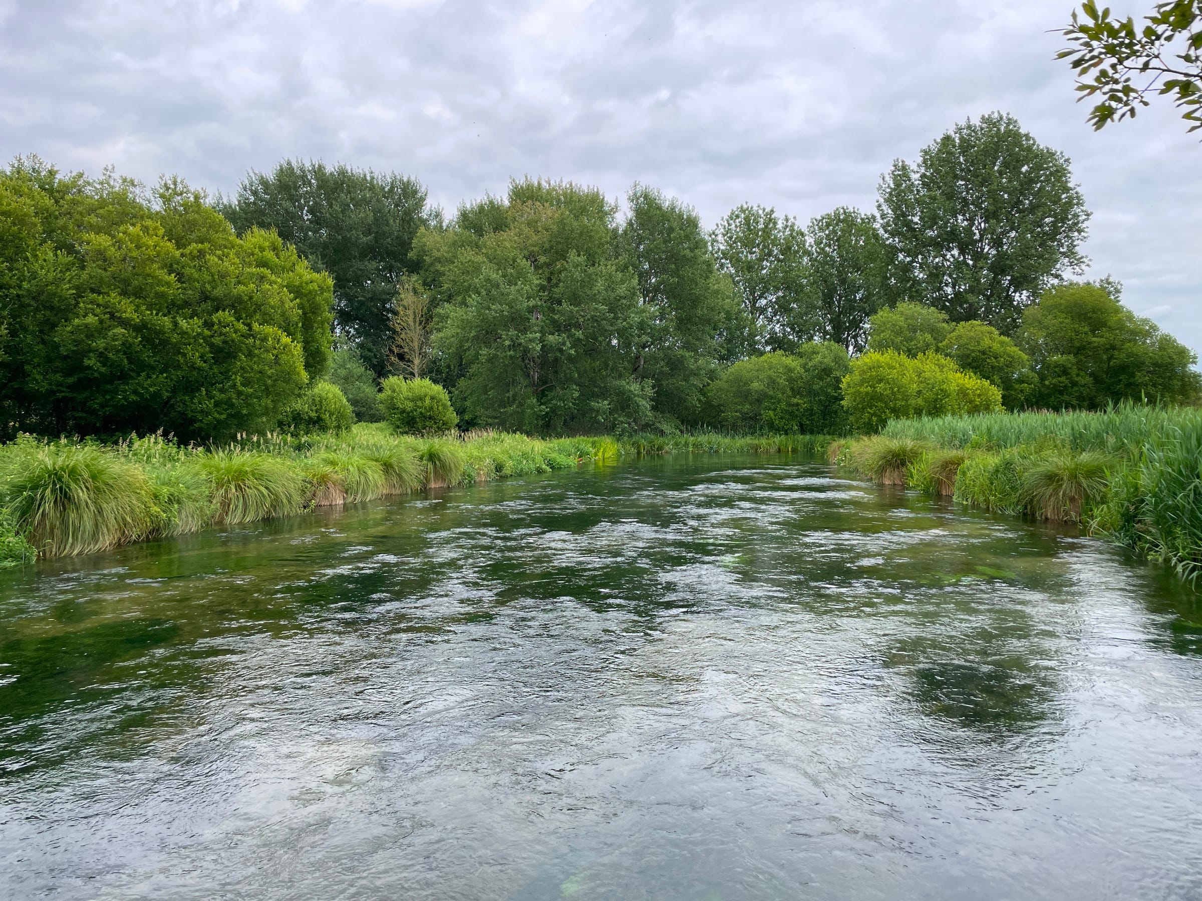 The River Itchen at Martyr Worthy in the Itchen Valley in summer.