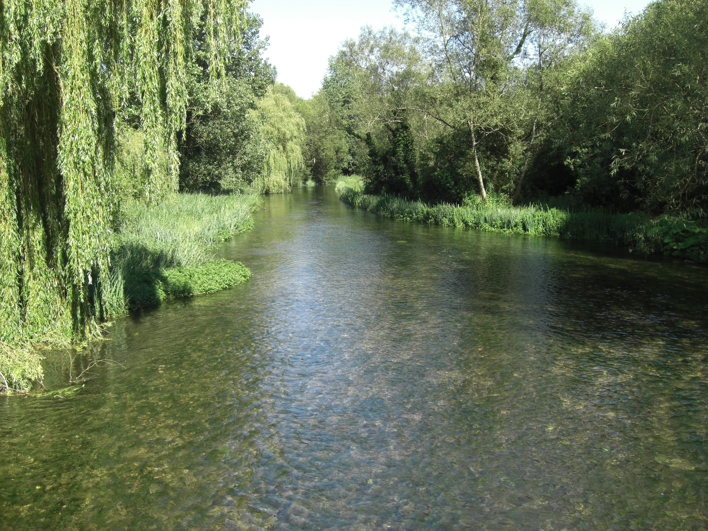 The River Kennet downstream of the Old Mill at Ramsbury, clear water with grayling visible near the bed.