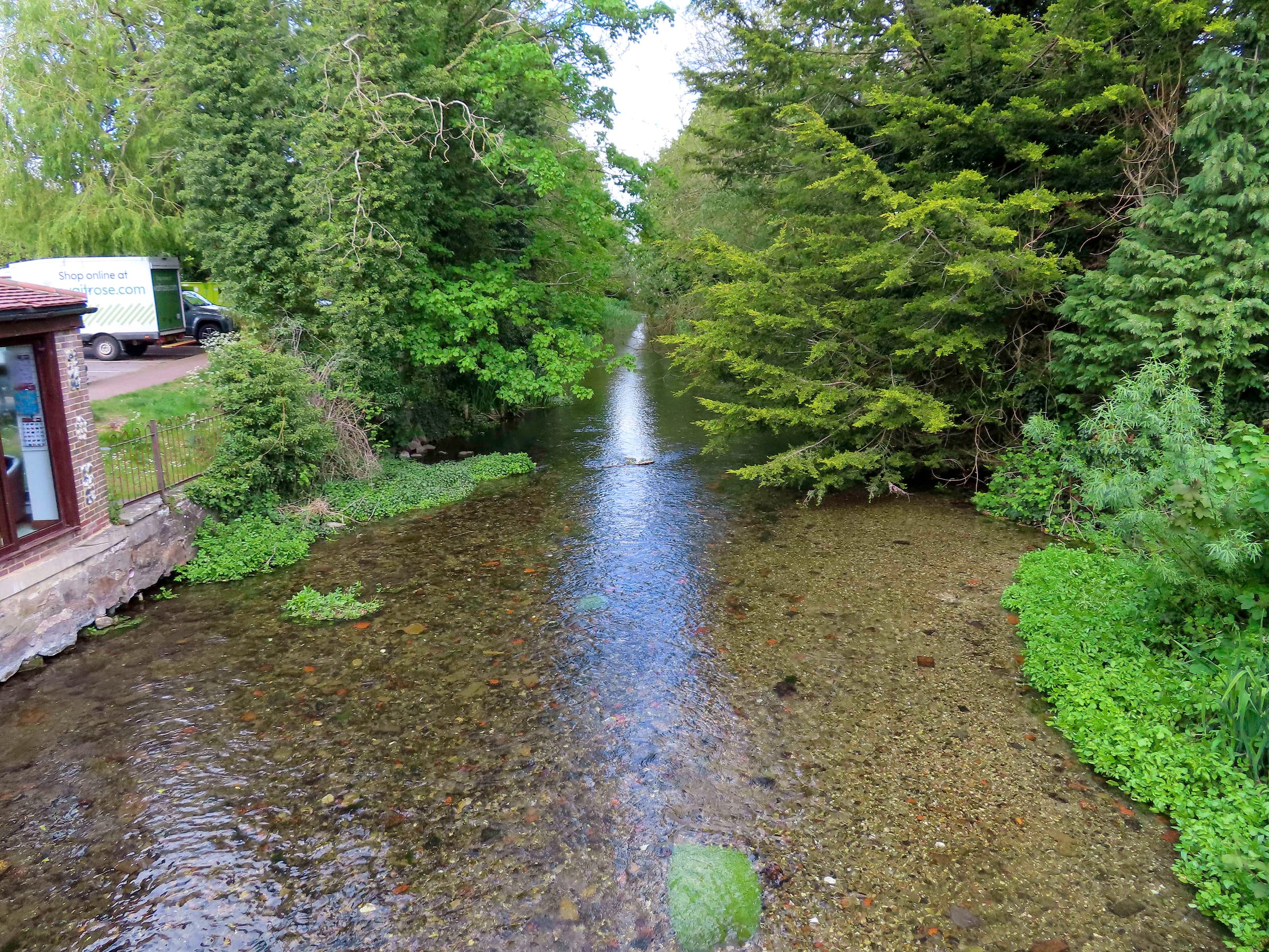 The River Kennet flowing through Marlborough in spring at the upper chalkstream reaches.