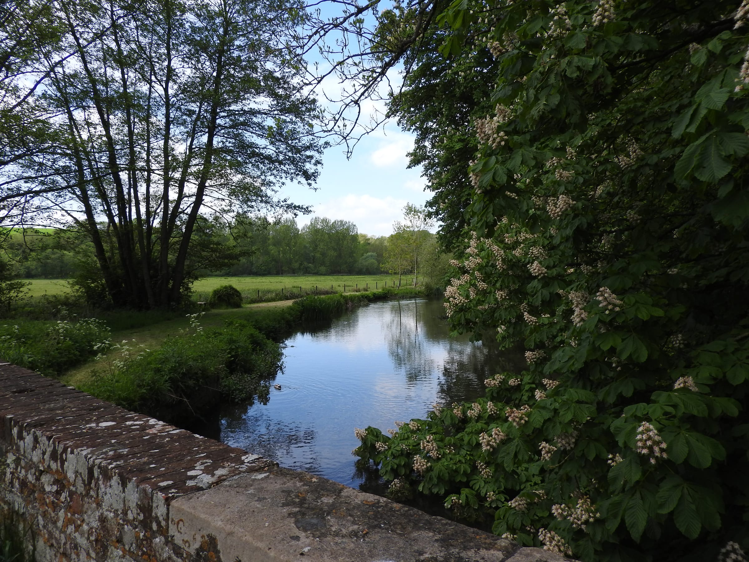 The River Kennet at Leverton near Hungerford, a trout-rich chalk stream reach in late spring.